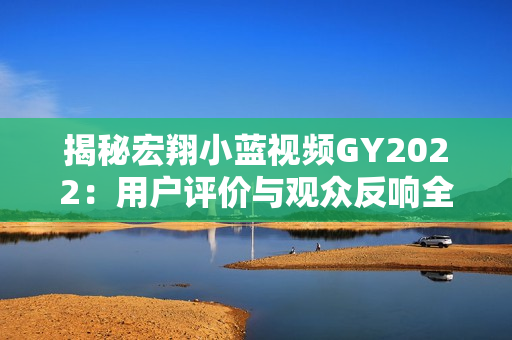 揭秘宏翔小蓝视频GY2022：用户评价与观众反响全面解析，内容亮点一览