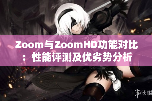 Zoom与ZoomHD功能对比：性能评测及优劣势分析