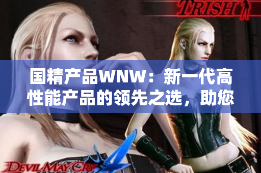 国精产品WNW：新一代高性能产品的领先之选，助您实现卓越业绩