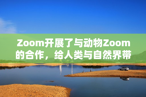 Zoom开展了与动物Zoom的合作，给人类与自然界带来新的连接体验