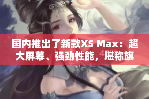 国内推出了新款XS Max：超大屏幕、强劲性能，堪称旗舰之选