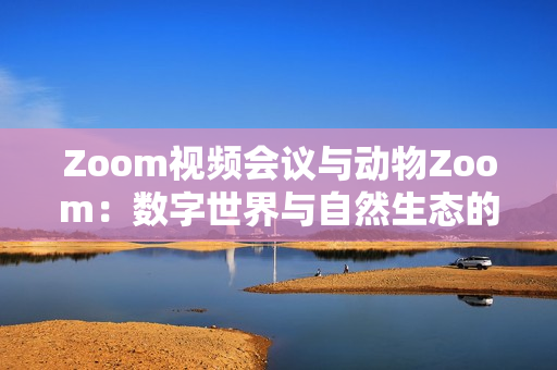 Zoom视频会议与动物Zoom：数字世界与自然生态的碰撞