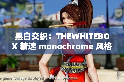 黑白交织：THEWHITEBOX 精选 monochrome 风格