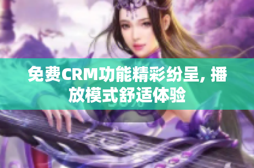 免费CRM功能精彩纷呈, 播放模式舒适体验