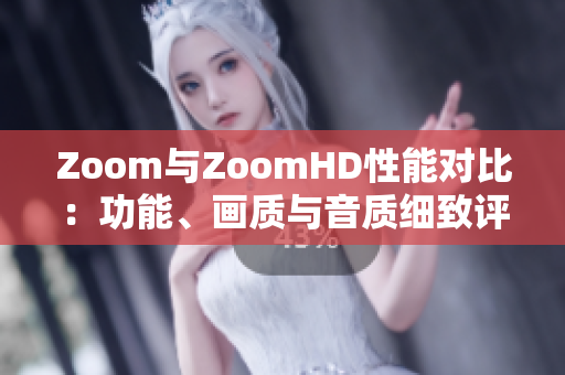 Zoom与ZoomHD性能对比：功能、画质与音质细致评估