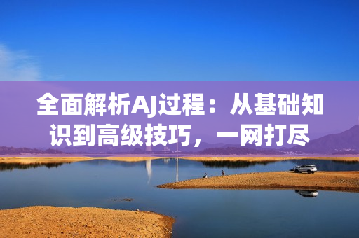 全面解析AJ过程：从基础知识到高级技巧，一网打尽