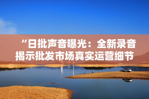 “日批声音曝光：全新录音揭示批发市场真实运营细节与商家经营策略”