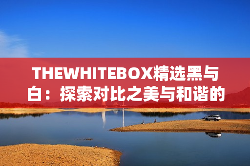 THEWHITEBOX精选黑与白：探索对比之美与和谐的艺术设计