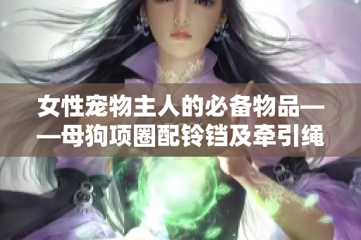 女性宠物主人的必备物品——母狗项圈配铃铛及牵引绳