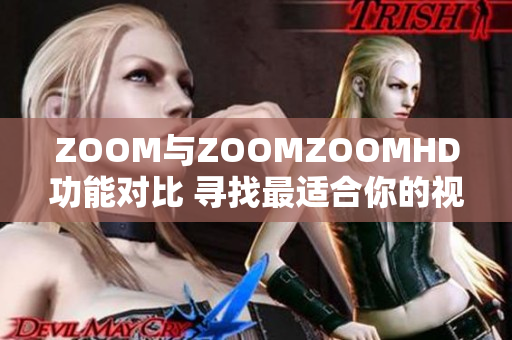 ZOOM与ZOOMZOOMHD功能对比 寻找最适合你的视频会议平台