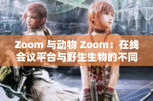 Zoom 与动物 Zoom：在线会议平台与野生生物的不同 zoom 水平