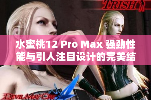 水蜜桃12 Pro Max 强劲性能与引人注目设计的完美结合