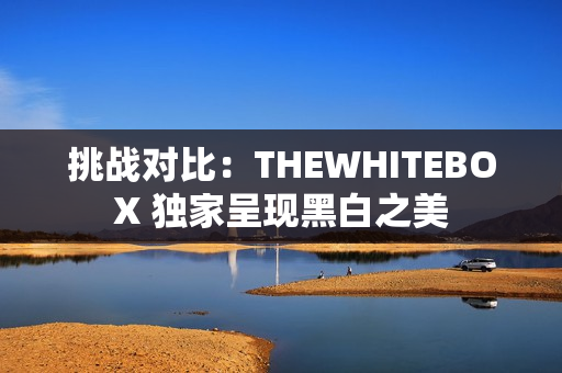 挑战对比：THEWHITEBOX 独家呈现黑白之美