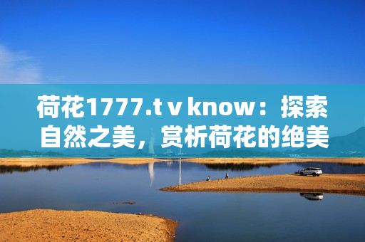 荷花1777.tⅴknow：探索自然之美，赏析荷花的绝美奥秘