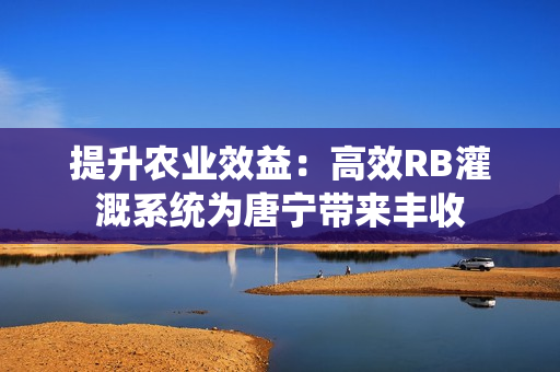 提升农业效益：高效RB灌溉系统为唐宁带来丰收