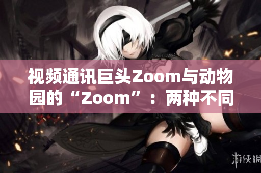 视频通讯巨头Zoom与动物园的“Zoom”：两种不同的连接方式