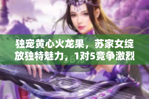 独宠黄心火龙果，苏家女绽放独特魅力，1对5竞争激烈