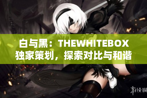 白与黑：THEWHITEBOX独家策划，探索对比与和谐