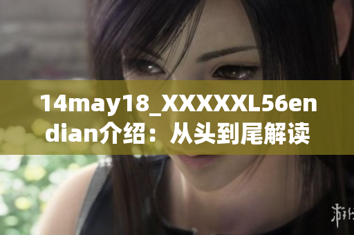 14may18_XXXXXL56endian介绍：从头到尾解读巨型机的设计