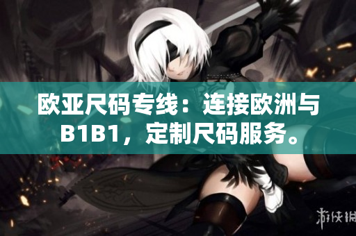 欧亚尺码专线：连接欧洲与B1B1，定制尺码服务。