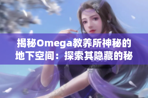 揭秘Omega教养所神秘的地下空间：探索其隐藏的秘密和不为人知的历史