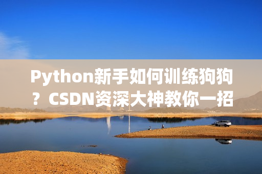 Python新手如何训练狗狗？CSDN资深大神教你一招制胜