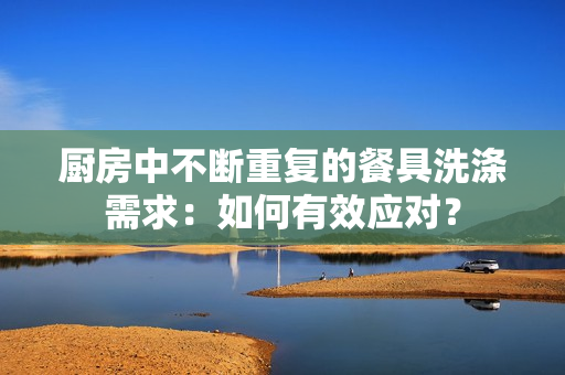 厨房中不断重复的餐具洗涤需求：如何有效应对？