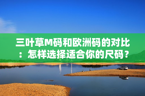 三叶草M码和欧洲码的对比：怎样选择适合你的尺码？