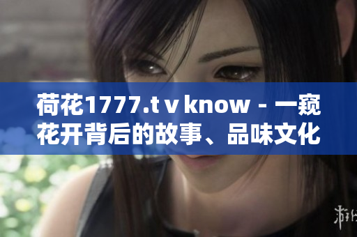 荷花1777.tⅴknow - 一窥花开背后的故事、品味文化的精髓