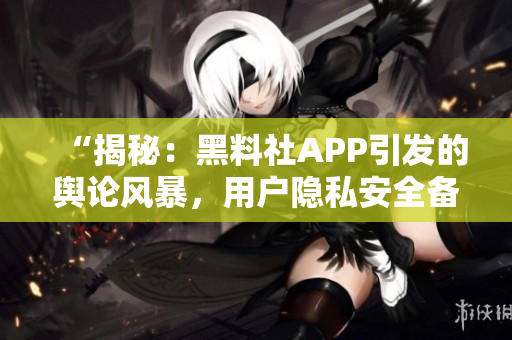 “揭秘：黑料社APP引发的舆论风暴，用户隐私安全备受质疑！”