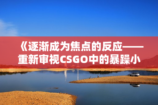 《逐渐成为焦点的反应——重新审视CSGO中的暴躁小阿姨现象》