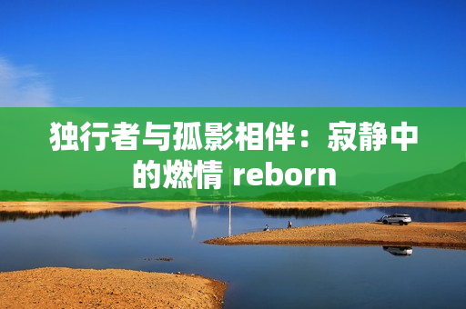 独行者与孤影相伴：寂静中的燃情 reborn