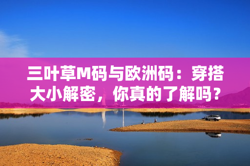 三叶草M码与欧洲码：穿搭大小解密，你真的了解吗？