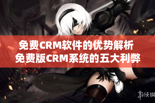 免费CRM软件的优势解析 免费版CRM系统的五大利弊