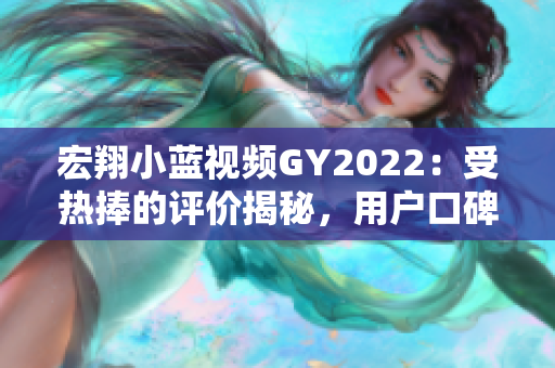 宏翔小蓝视频GY2022：受热捧的评价揭秘，用户口碑如何？