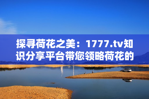 探寻荷花之美：1777.tv知识分享平台带您领略荷花的魅力