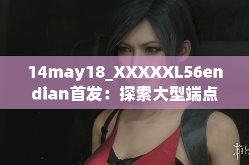 14may18_XXXXXL56endian首发：探索大型端点系统在印度的应用及影响