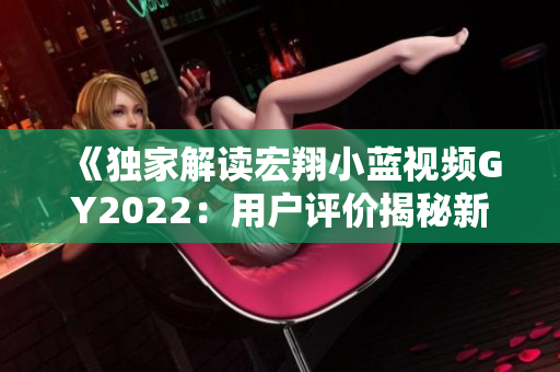 《独家解读宏翔小蓝视频GY2022：用户评价揭秘新一代产品优势与挑战》