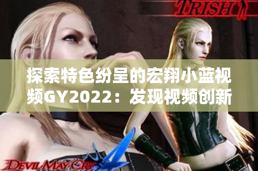 探索特色纷呈的宏翔小蓝视频GY2022：发现视频创新之美