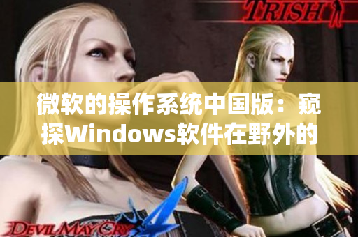 微软的操作系统中国版：窥探Windows软件在野外的应用与挑战