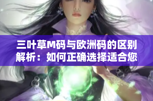 三叶草M码与欧洲码的区别解析：如何正确选择适合您的尺码