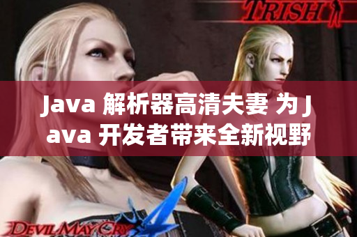 Java 解析器高清夫妻 为 Java 开发者带来全新视野