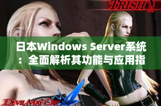 日本Windows Server系统：全面解析其功能与应用指南