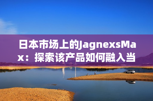 日本市场上的JagnexsMax：探索该产品如何融入当地文化与需求