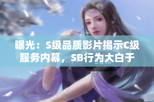 曝光：S级品质影片揭示C级服务内幕，SB行为大白于天下