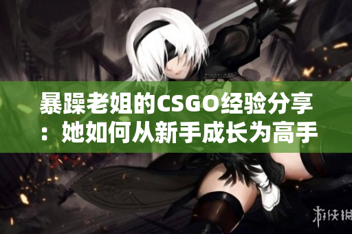 暴躁老姐的CSGO经验分享：她如何从新手成长为高手的秘诀