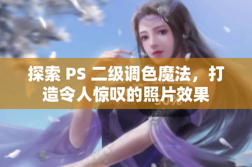 探索 PS 二级调色魔法，打造令人惊叹的照片效果