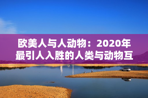 欧美人与人动物：2020年最引人入胜的人类与动物互动大揭秘