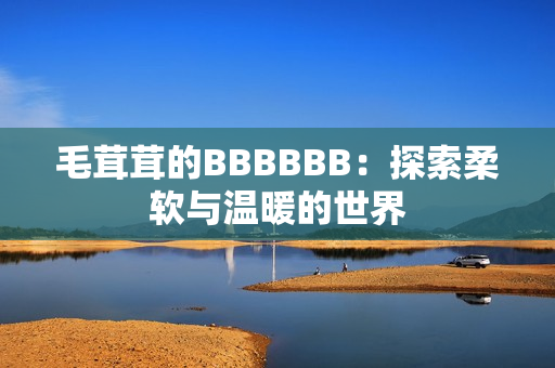 毛茸茸的BBBBBB：探索柔软与温暖的世界