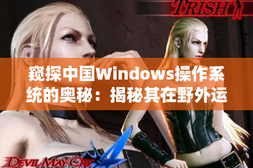 窥探中国Windows操作系统的奥秘：揭秘其在野外运行的神秘之处